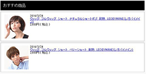自動新着商品表示システム
